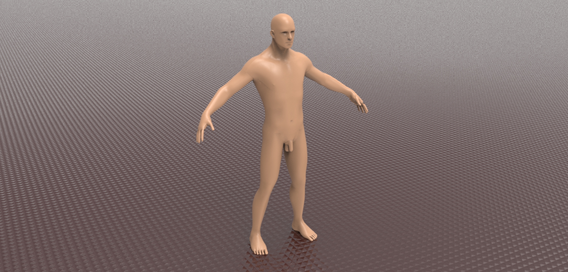 男性人体